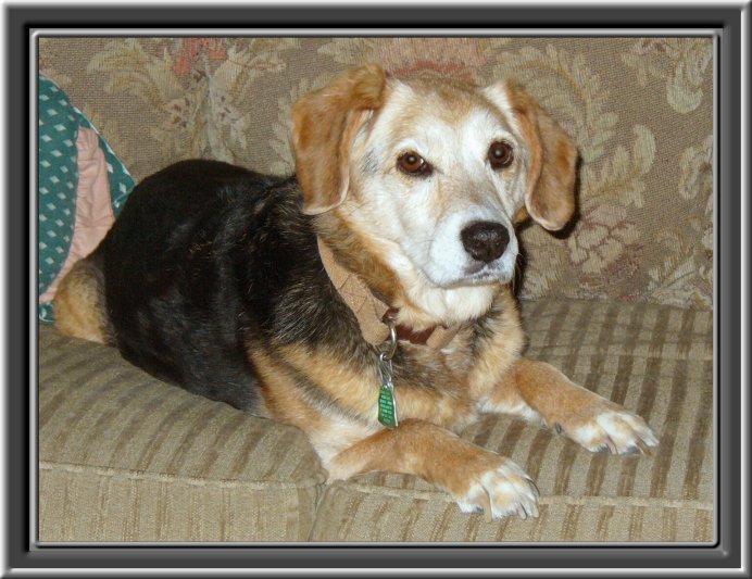 THIS IS "GINGER" ...&nbsp; CLICK TO ENLARGE!