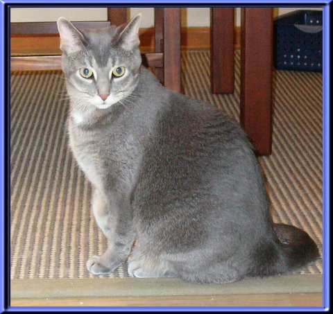 THIS IS "LOUIE" ...&nbsp; CLICK TO ENLARGE!
