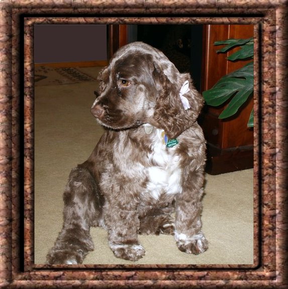  THIS IS "TESSIE MAE" ...&nbsp; CLICK TO ENLARGE!