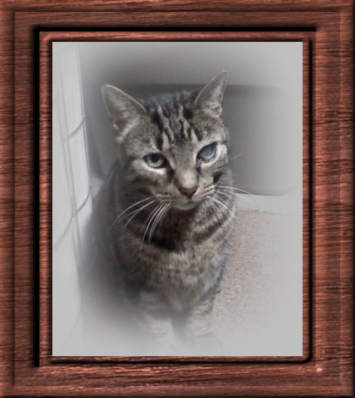 THIS IS "TJ" ...&nbsp; CLICK TO ENLARGE!