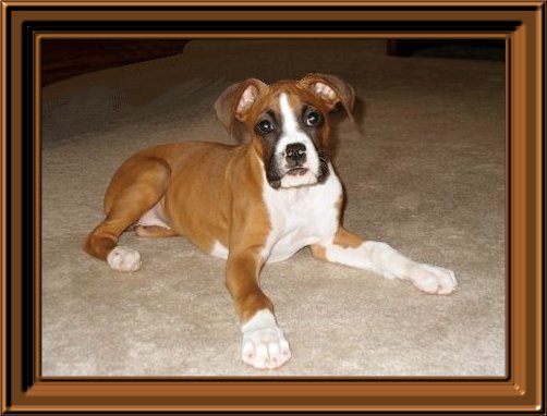 THIS IS "TILLY" ......&nbsp; CLICK TO ENLARGE!