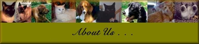 "My Pets" Beloved Sebastian Oliver; and Abby. Ashes;Chloe;Simba;Sadie;Milo;Jeter;and Jasmine