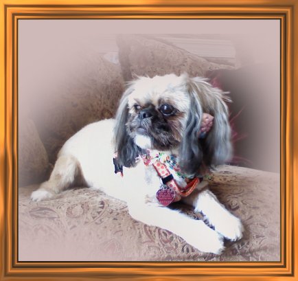 THIS IS "BRANDY" ...&nbsp; CLICK TO ENLARGE!