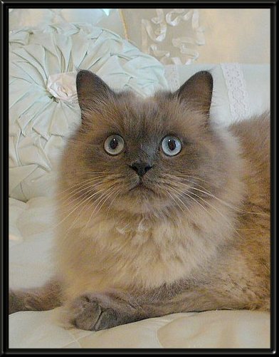 THIS IS "BUBBY" ...&nbsp; CLICK TO ENLARGE!