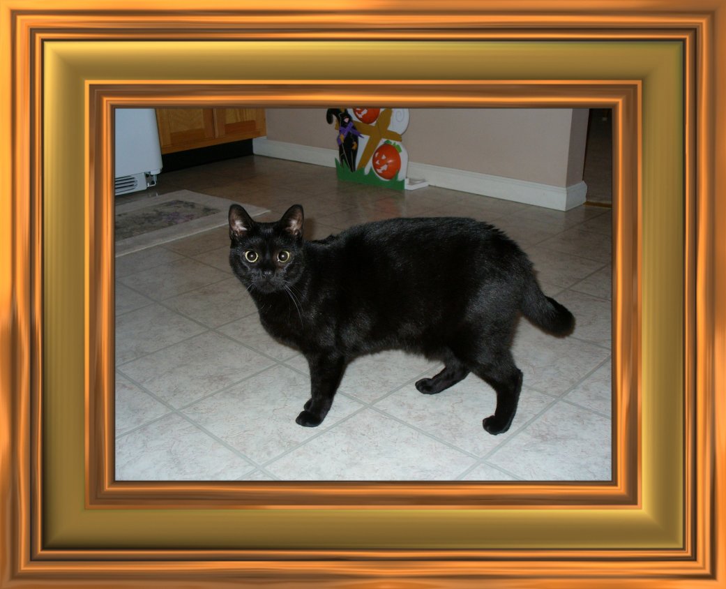 THIS IS "CASEY" ...&nbsp; CLICK TO ENLARGE!