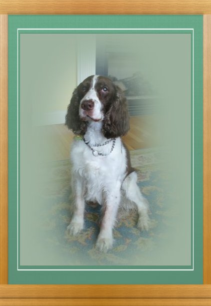 THIS IS "COCOA" ...&nbsp; CLICK TO ENLARGE!