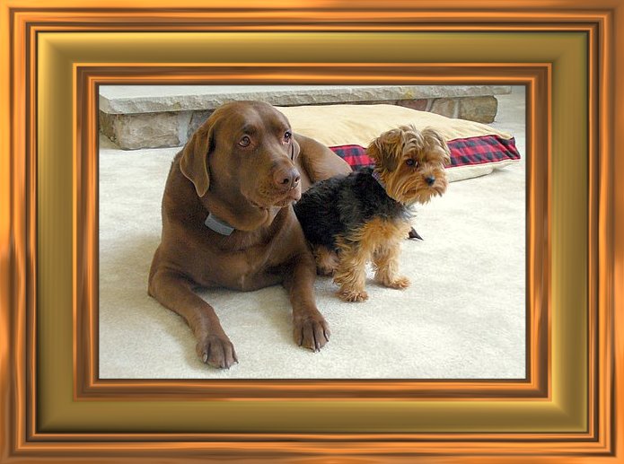 THIS IS "COSMO and ZIMA" ...&nbsp; CLICK TO ENLARGE!