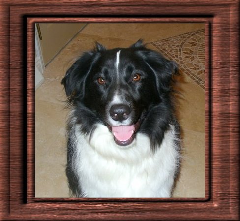 THIS IS "DALE" ...&nbsp; CLICK TO ENLARGE!