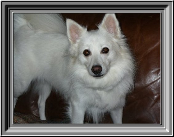 THIS IS "GABBY" ...&nbsp; CLICK TO ENLARGE!