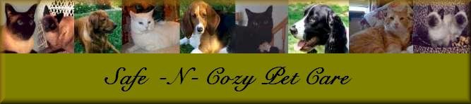 "My Pets" Beloved Sebastian Oliver; and Abby. Ashes;Chloe;Simba;Sadie;Milo;Jeter;and Jasmine