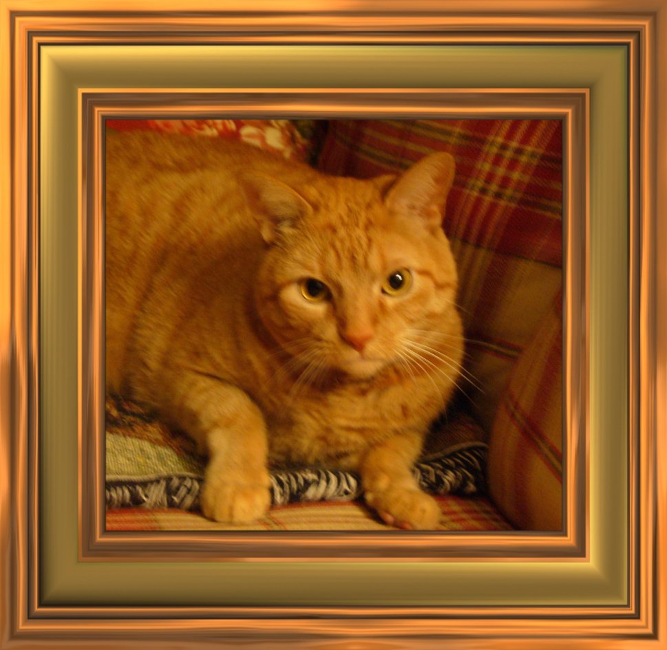 THIS IS "LUCKY" ...&nbsp; CLICK TO ENLARGE!