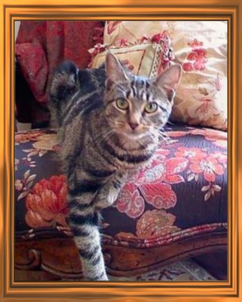THIS IS "MAGGIE" ...&nbsp; CLICK TO ENLARGE!