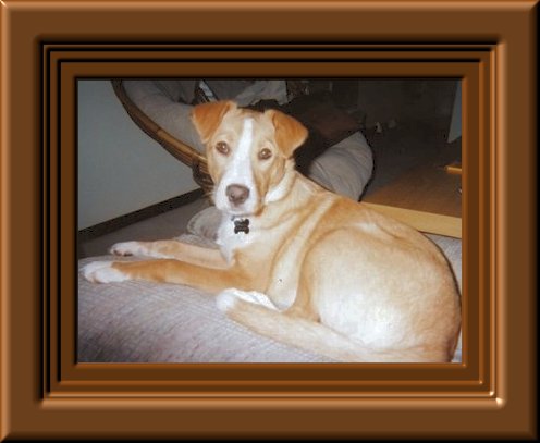 THIS IS "MARSHALL" ...&nbsp; CLICK TO ENLARGE!