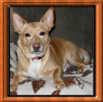 THIS IS "MOOKIE" ...&nbsp; CLICK TO ENLARGE!