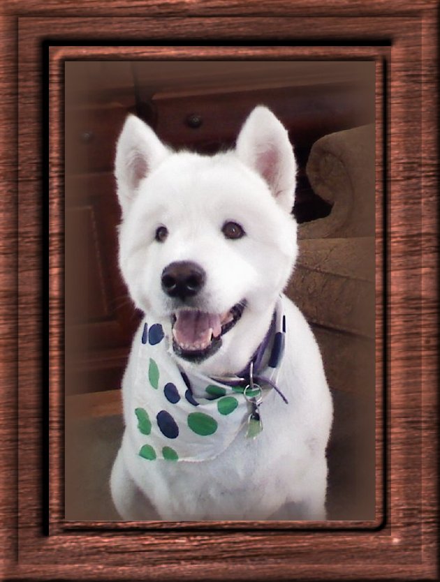 THIS IS "NIKKI" ...&nbsp; CLICK TO ENLARGE!