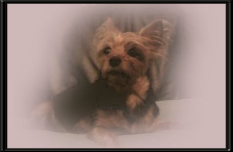 THIS IS "NIKKI" ...&nbsp; CLICK TO ENLARGE!