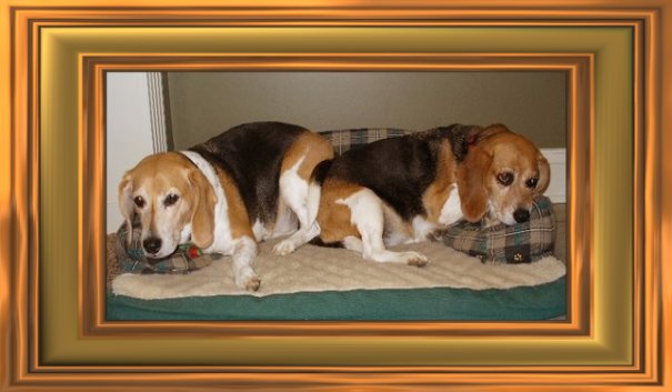 THIS IS "RENA and MIA" ...&nbsp; CLICK TO ENLARGE!