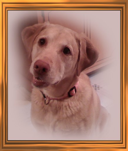 THIS IS "ROSWELL" ...&nbsp; CLICK TO ENLARGE!
