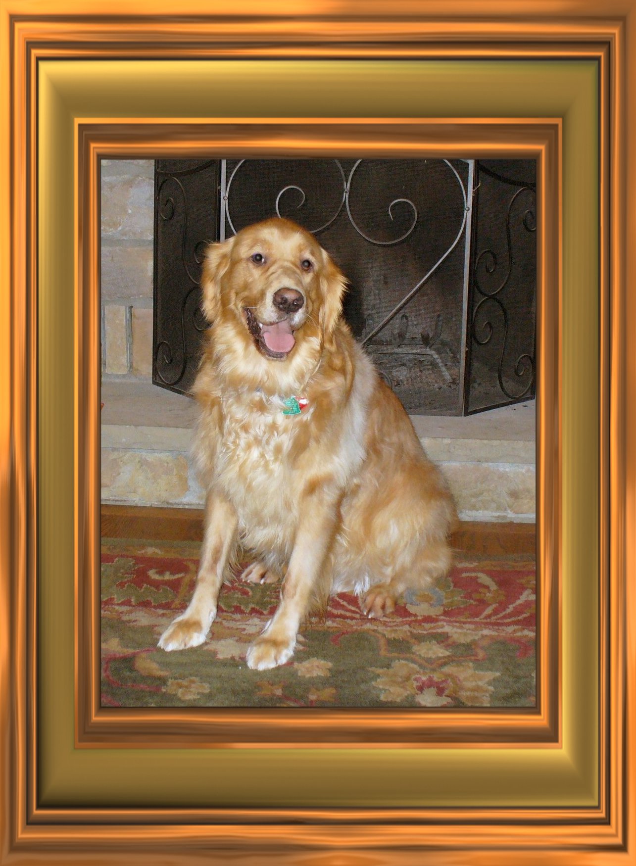 THIS IS "SAGE" ...&nbsp; CLICK TO ENLARGE!