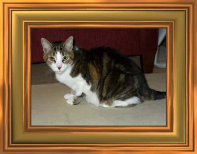THIS IS "SIGMUND" ...&nbsp; CLICK TO ENLARGE!
