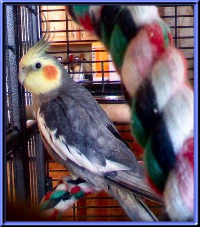 THIS IS "SUNNY" ...&nbsp; CLICK TO ENLARGE!