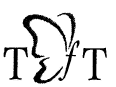 wpe1.jpg (11463 bytes)