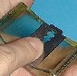Ravbar Thumb