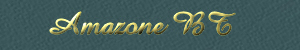 Amazone BT