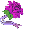 Flores Para Voc�