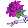 Flores Para Voc�