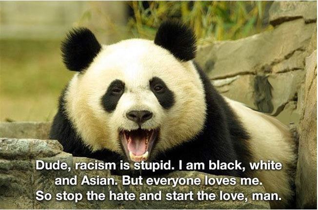 panda