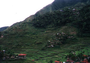 Sleep amidst the terraces