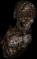 meltman