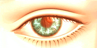 Terra's Eye