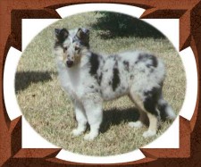 bbd6sm.jpg - 16606 Bytes
