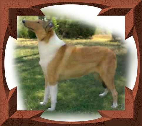 bonnie1.jpg - 20623 Bytes