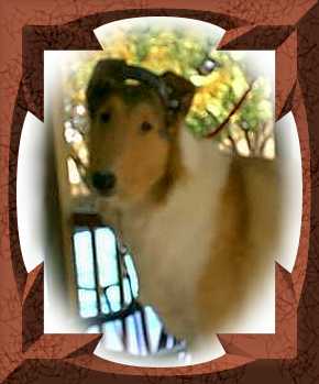 bonnie2.jpg - 13078 Bytes