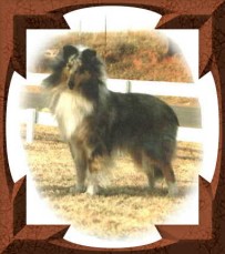 kyle5sm.jpg - 15841 Bytes