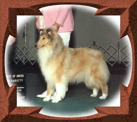 rosie.jpg - 20028 Bytes
