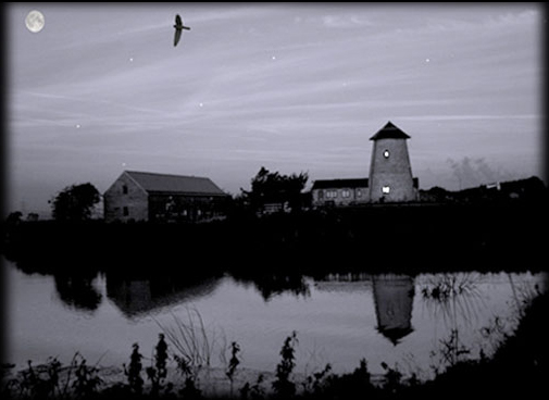 THE DAWN by Sandra Osborne