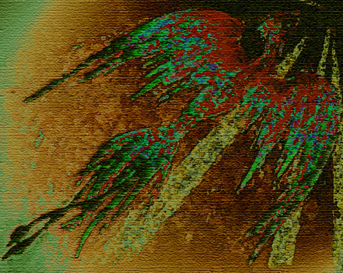 THE DAWN by Sandra Osborne
