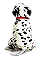Dalmation