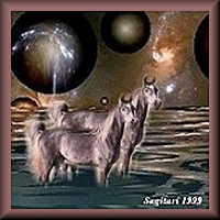 Horses in Dreamland