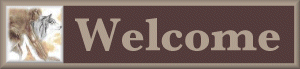 Welcome Button