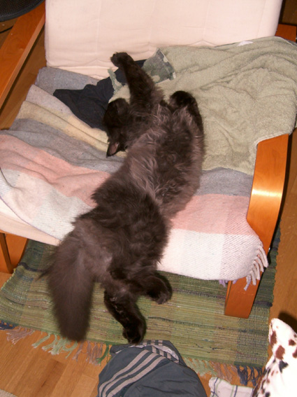 M�nader senare �r magen rundare och s�mnen djupare....!