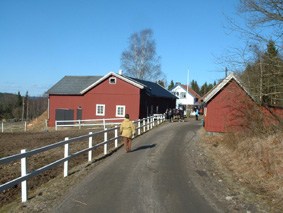 H�r �r g�rden Ingsj�lider d�r alla p�llarna st�r!