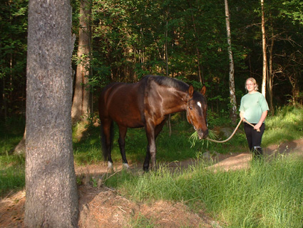 Bilden �r tagen f�rra �ret n�r Robin skulle promeneras f�r att �terh�mta sig fr�n en h�lta. Men verkar det inte som om mamma Ulle l�ter h�sten �ta mer �n att promenera......?