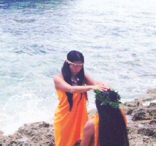 index.3.gif (55321 bytes)