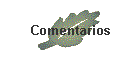 Comentarios