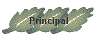 Principal